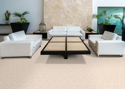 Patterned Carpet Flooring in Living Room