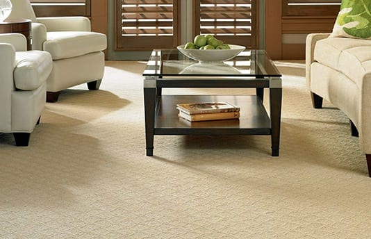 Carpet Flooring in Living Room