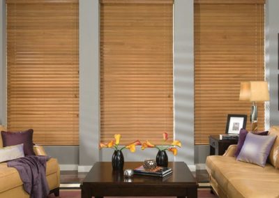 Light Wooden Blinds in Living Room